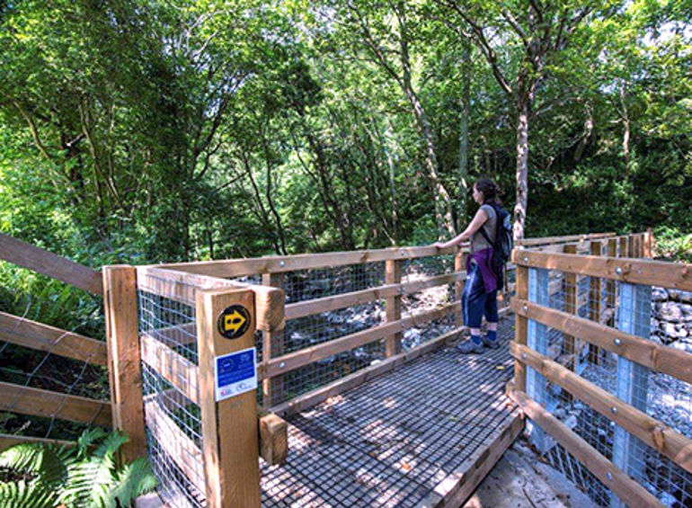 Woman using the improved path to cross a river Woman using the improved path to cross a river
