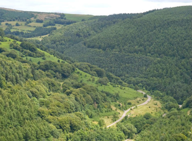 Cwmcarn forest Cwmcarn forest