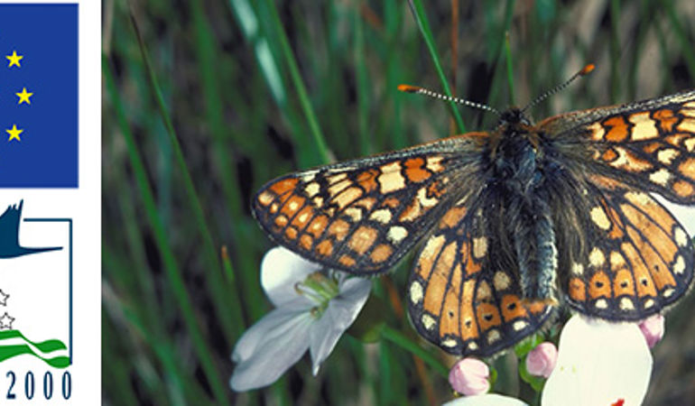 Natura 2000 image of a marsh fritillary butterfly Natura 2000 image of a marsh fritillary butterfly