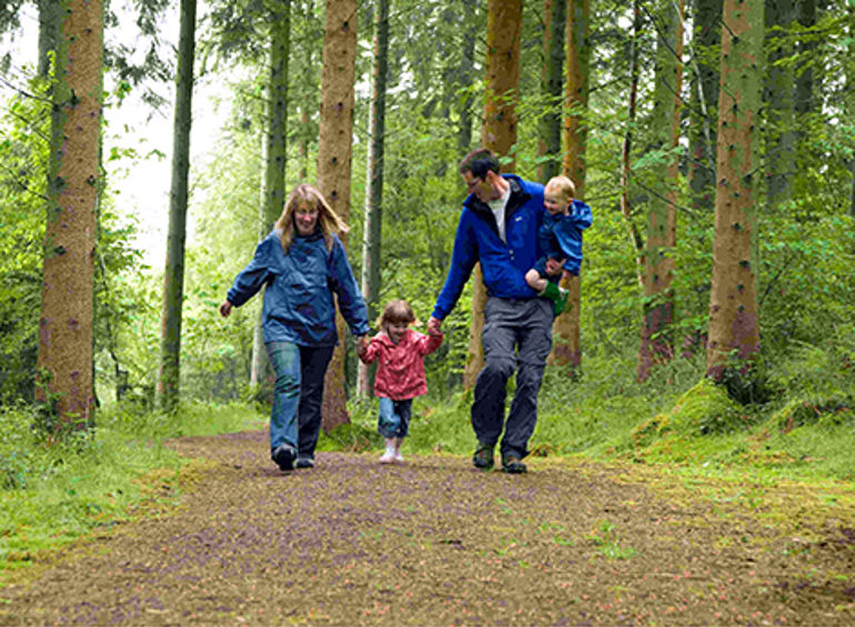 Family walking in the woods Family walking in the woods