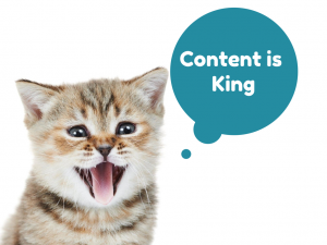 Cat saying Content is king