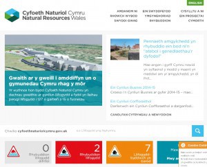New site