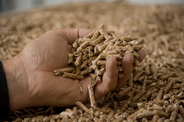 Hand holding wood chippings Hand holding wood chippings