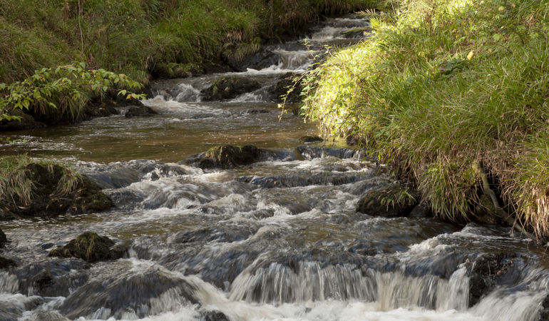 View of a stream View of a stream