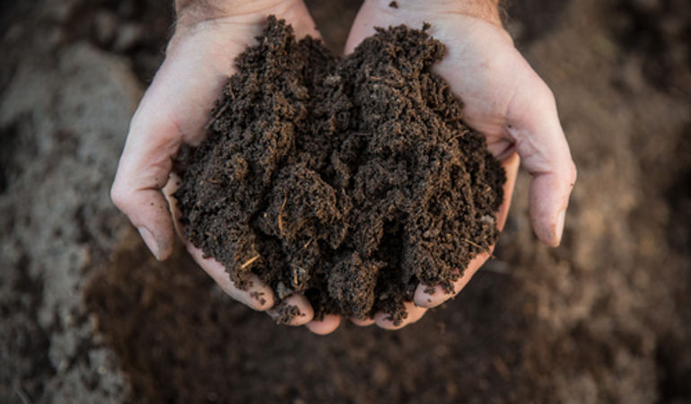 Free soil workshop for farmers at Royal Welsh Show Free soil workshop for farmers at Royal Welsh Show