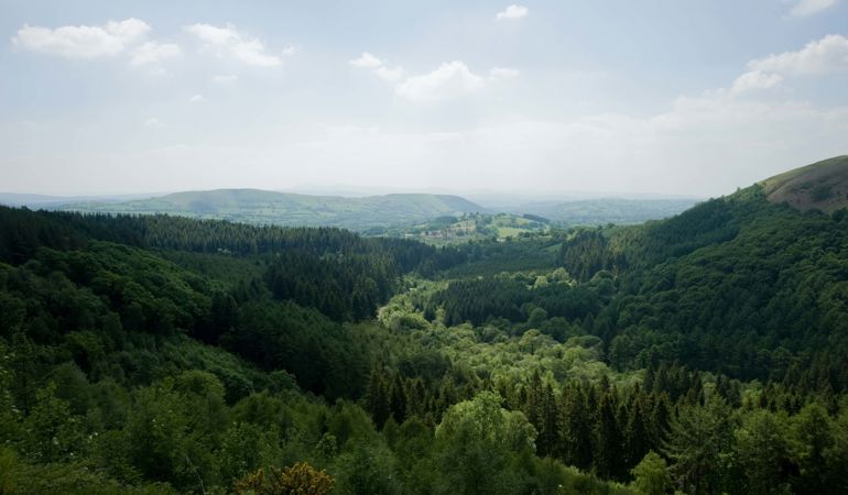 Cwm Rhaeadr Forest towards Mynydd Du in the Brecon Beacons Cwm Rhaeadr Forest towards Mynydd Du in the Brecon Beacons