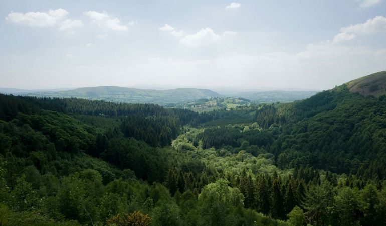 Cwm Rhaeadr Forest towards Mynydd Du in the Brecon Beacons