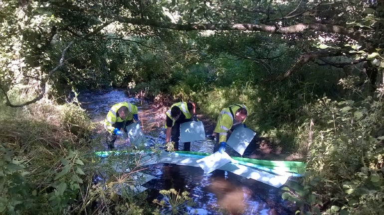 South ops team cleaning pollution from a river South ops team cleaning pollution from a river