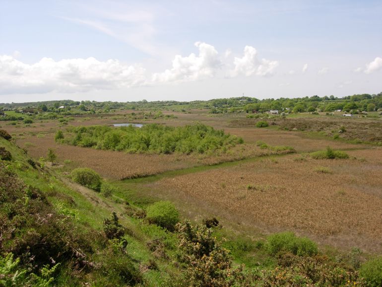 Valley fen Cors Goch anglesey Valley fen Cors Goch anglesey