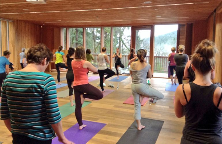 People participating in a yoga class People participating in a yoga class