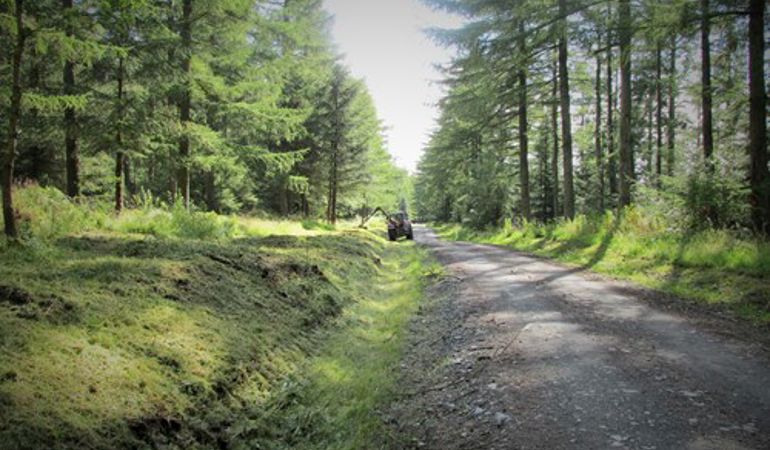 Clearing vegetation for rally spectators in the Clocaenog forest Clearing vegetation for rally spectators in the Clocaenog forest