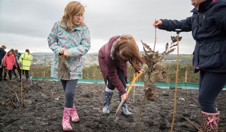 Children planting stakes to support tree saplings Children planting stakes to support tree saplings