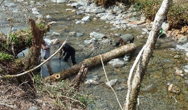 River with logs and stones River with logs and stones
