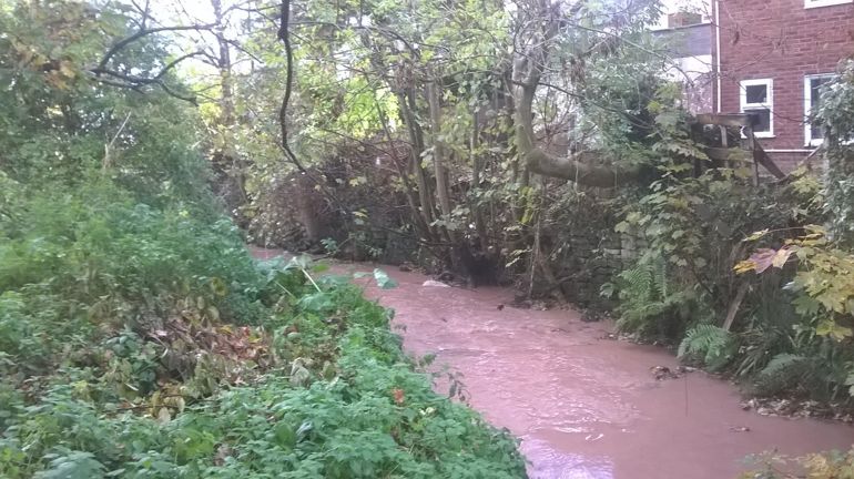 silt pollution in Wepre Brook silt pollution in Wepre Brook