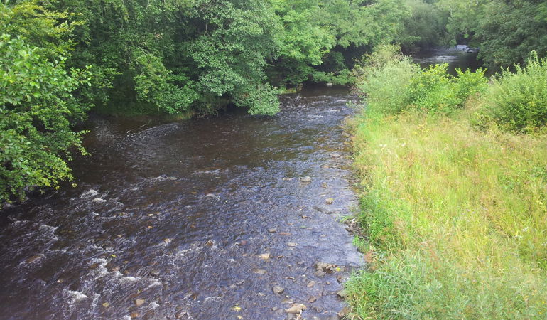 Vyrnwy - Plas Dolanog Vyrnwy - Plas Dolanog