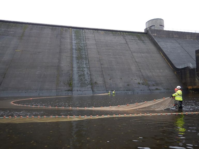 Four men wearing water safety clothing dragging a large net though the water next to the reservoir Four men wearing water safety clothing dragging a large net though the water next to the reservoir