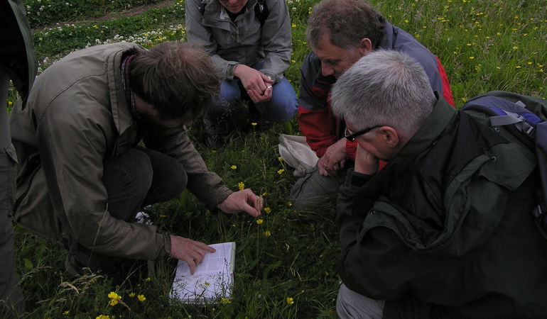 NE Plant ID at Coatham Stob NE Plant ID at Coatham Stob