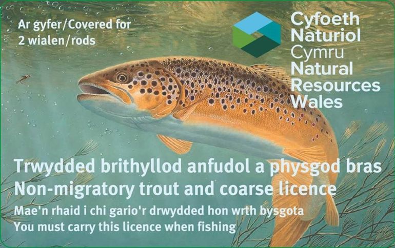 Image alerting people that they must carry a rod licence when fishing Image alerting people that they must carry a rod licence when fishing