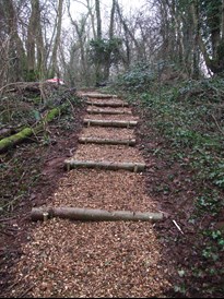 Penhow woodland steps