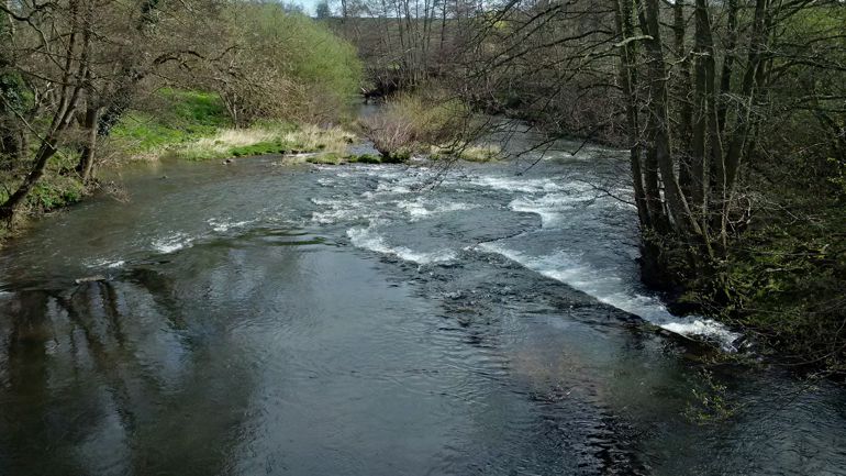 River Honddu with slurry pollution River Honddu with slurry pollution