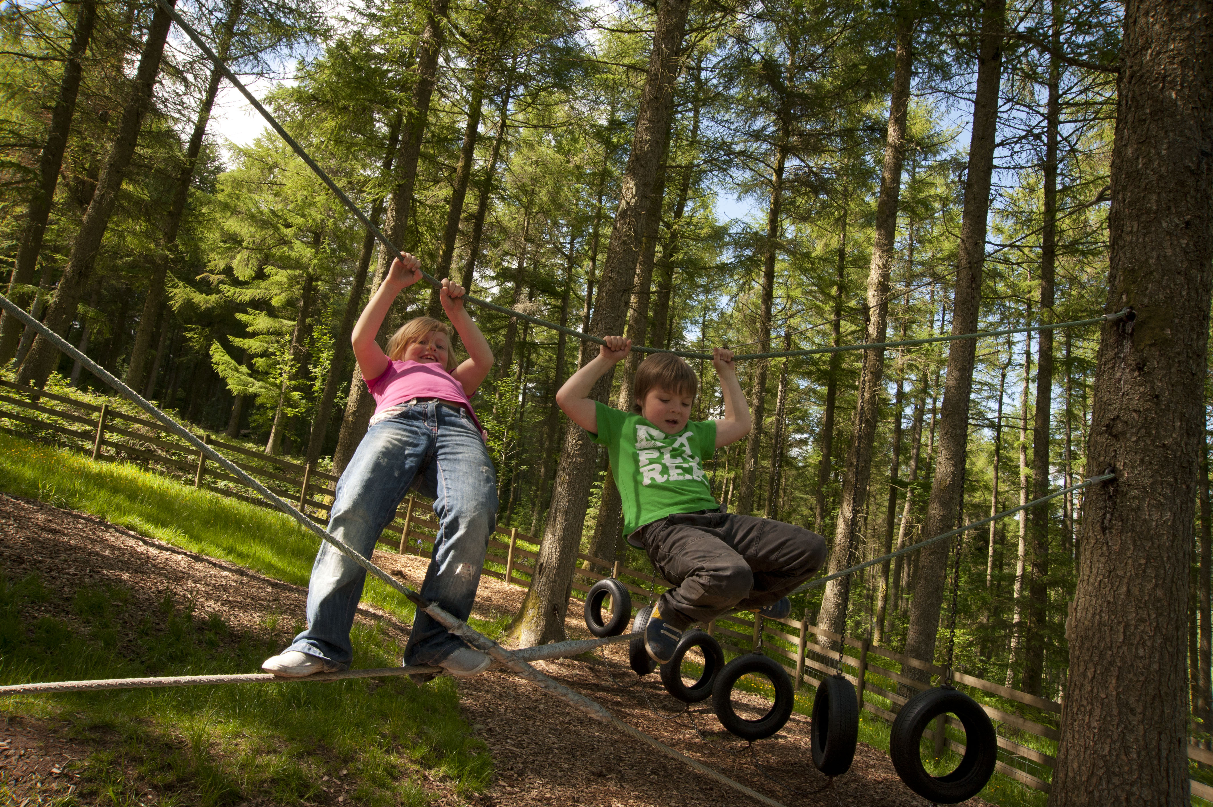 natural resources wales_3710