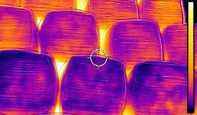 Thermal image of a wood pile Thermal image of a wood pile