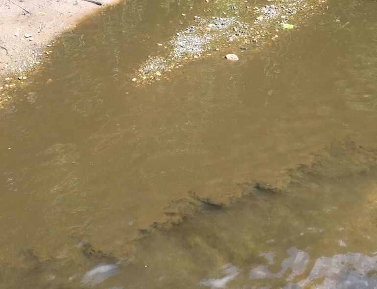 Slurry pollution in the Afon Bach and River Clwyd Slurry pollution in the Afon Bach and River Clwyd