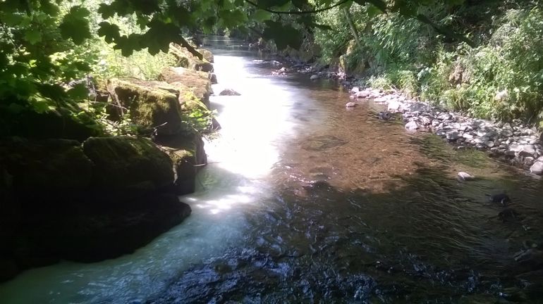 Milk pollution in the Nant Mudduch river Milk pollution in the Nant Mudduch river