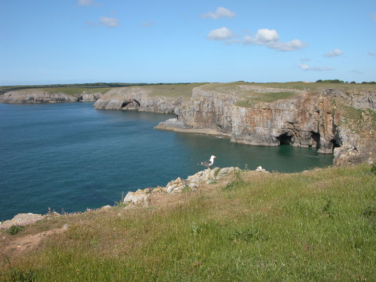 View of Stackpole Coast between Mowingoword Saddle Point View of Stackpole Coast between Mowingoword Saddle Point