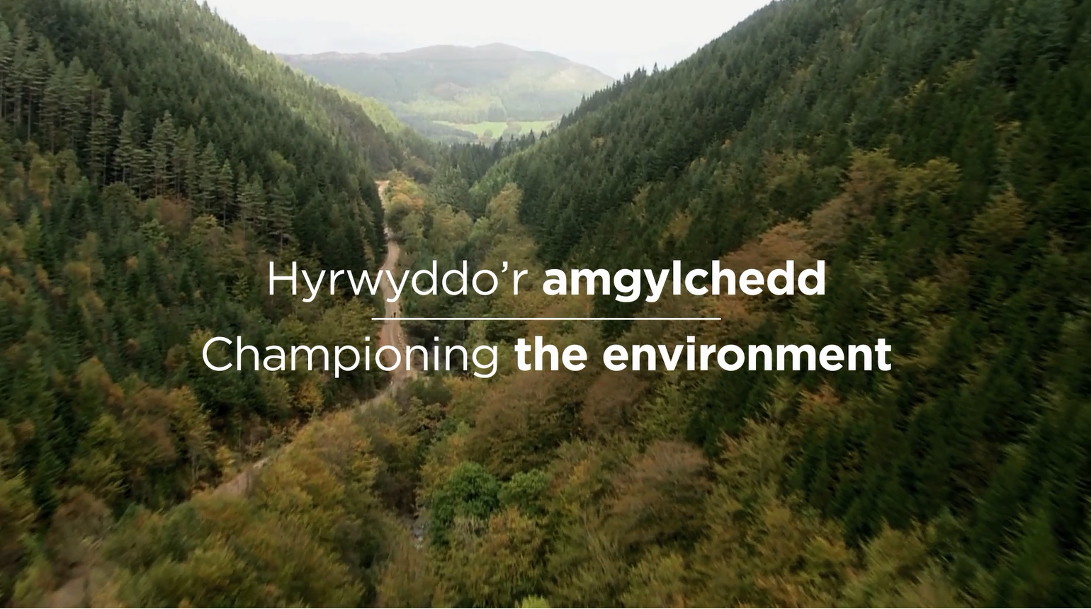 Hyrwyddo'r amgylchedd