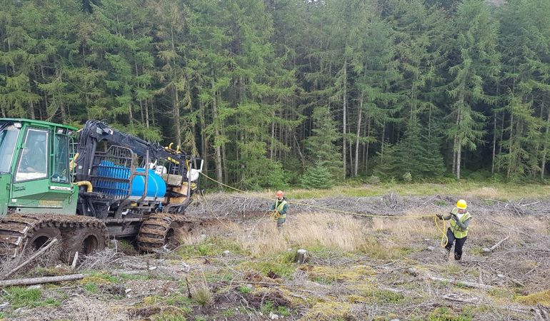 NRW staff spraying microscopic worms known as Nematodes into and around conifer tree stumps NRW staff spraying microscopic worms known as Nematodes into and around conifer tree stumps