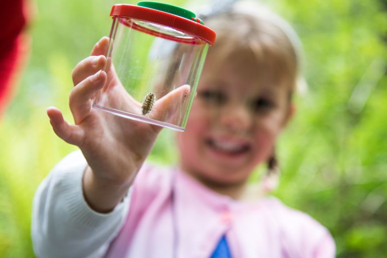 Young girl holding a bug pot Young girl holding a bug pot