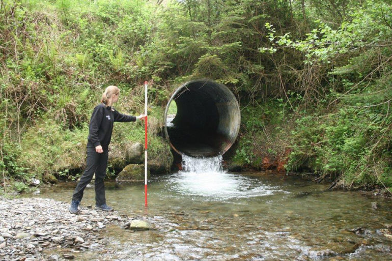 NRW staff member inspecting the water NRW staff member inspecting the water