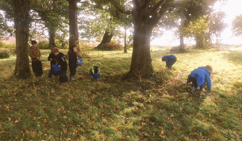 Group of children collecting acorns Group of children collecting acorns