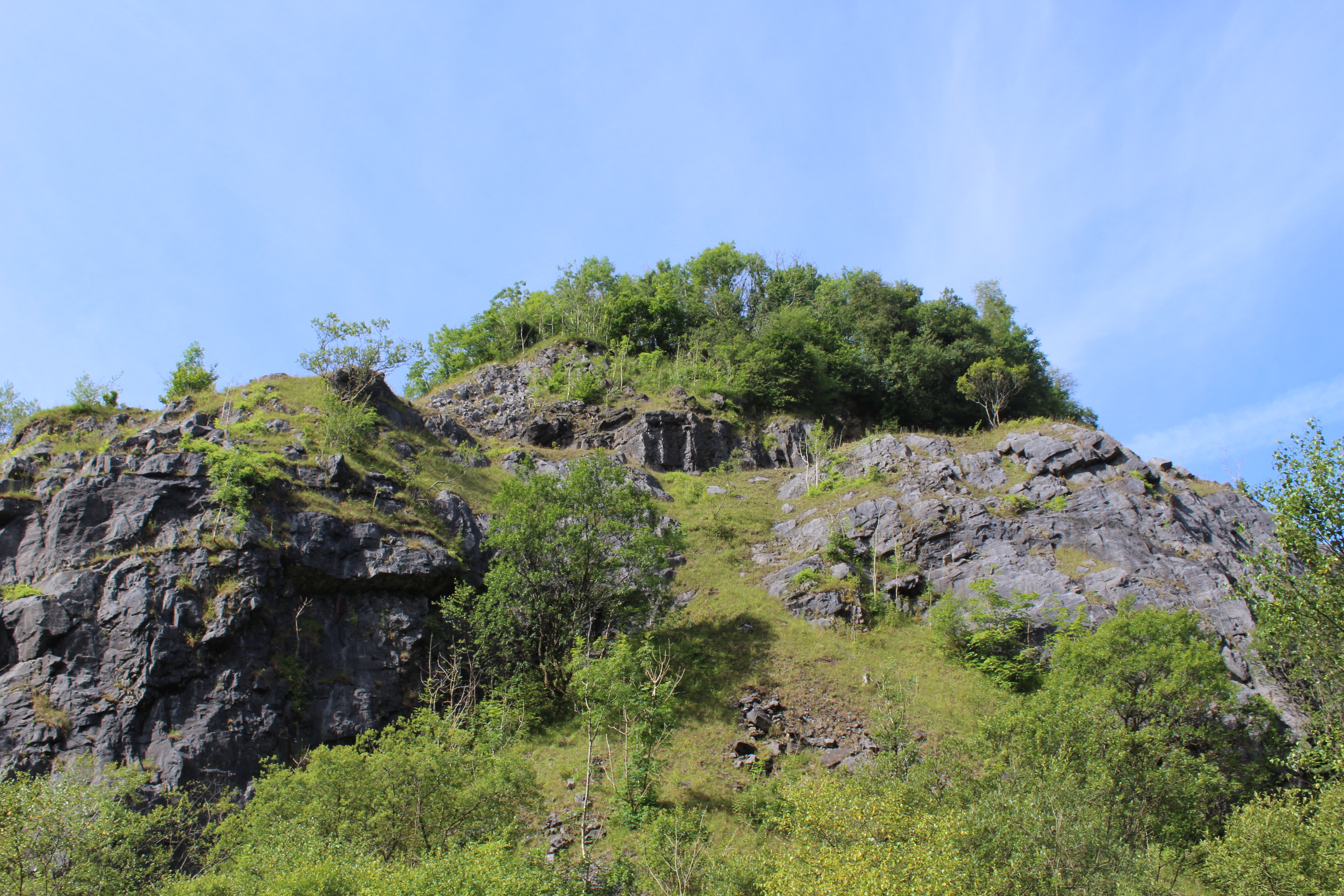 Natural Resources Wales / Carmel National Nature Reserve, near Llandeilo