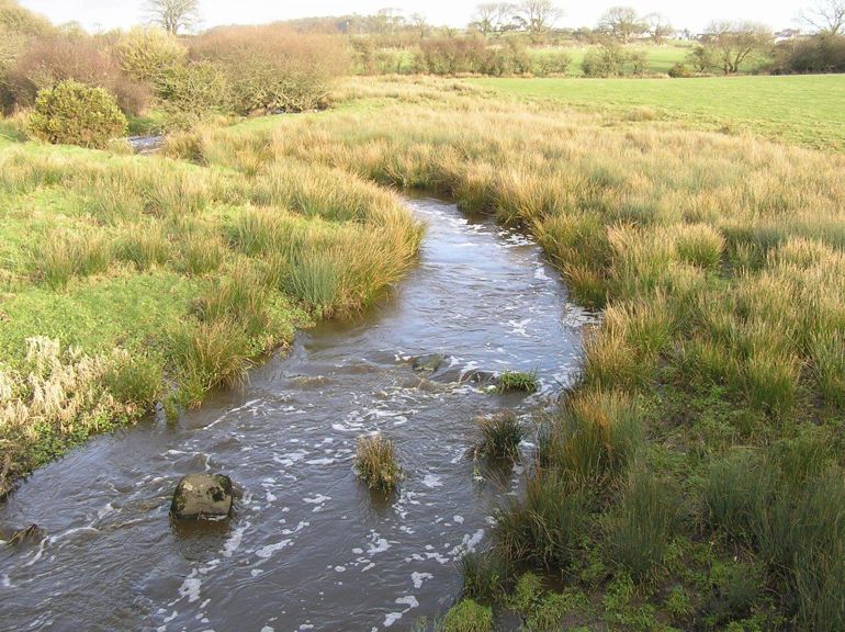 Slurry pollution incident at the river Afon Gwna Slurry pollution incident at the river Afon Gwna