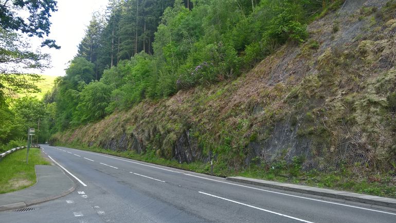 Roadside showing location of felling unstable trees Roadside showing location of felling unstable trees