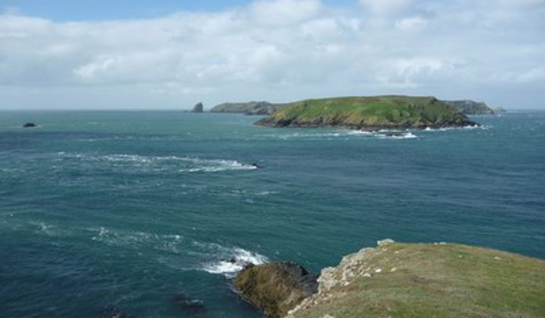 Skomer Skomer