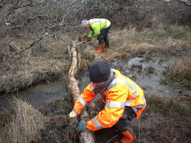 Leaky dam being installed Leaky dam being installed