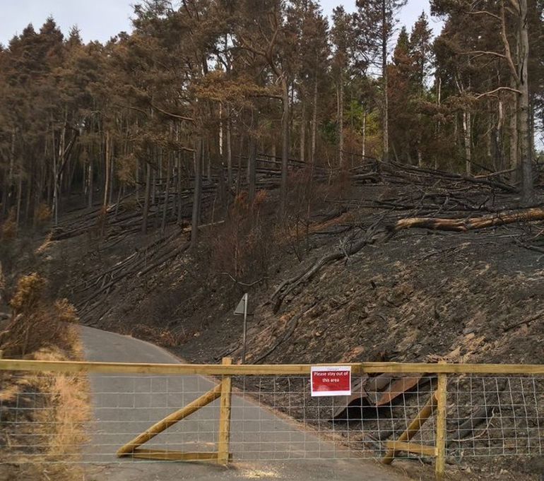 Photo of a closed forest road with burnt trees and land in the background Photo of a closed forest road with burnt trees and land in the background