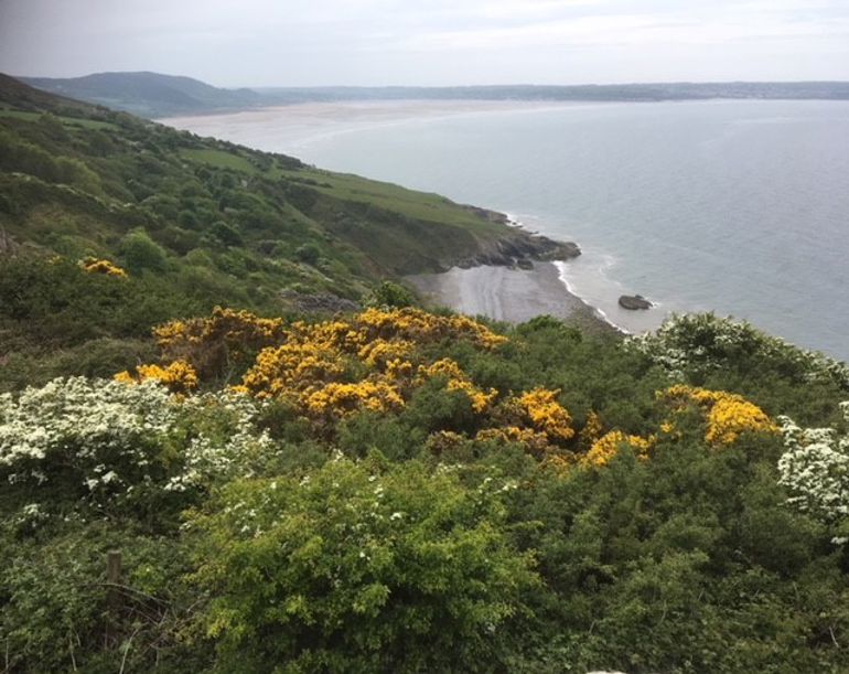 View of sea and beach in distance from cliff top View of sea and beach in distance from cliff top