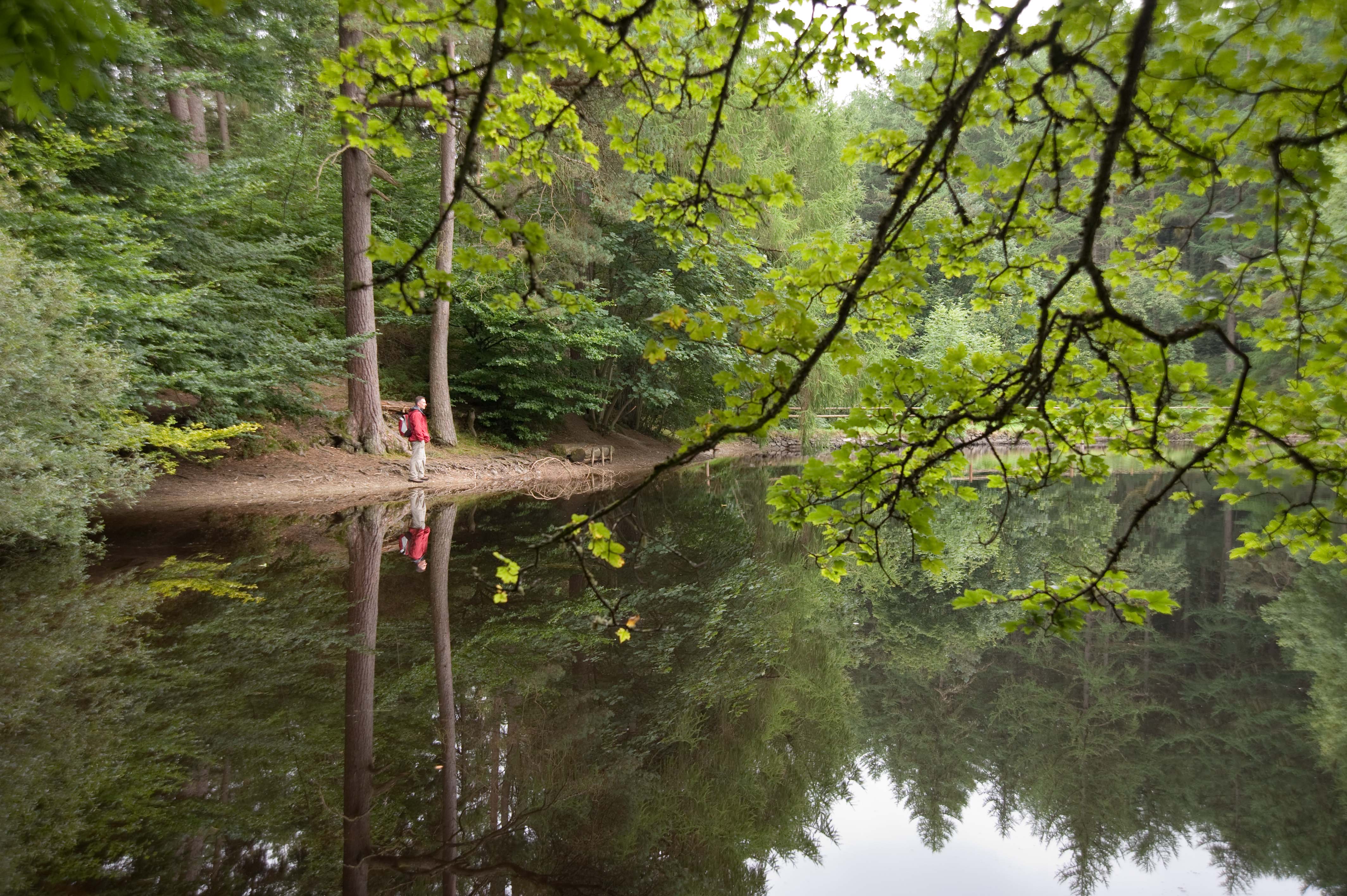 Natural Resources Wales Clocaenog Forest Bod Petryal - 