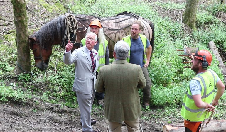 Prince Charles talking with horse-loggers in woods Prince Charles talking with horse-loggers in woods