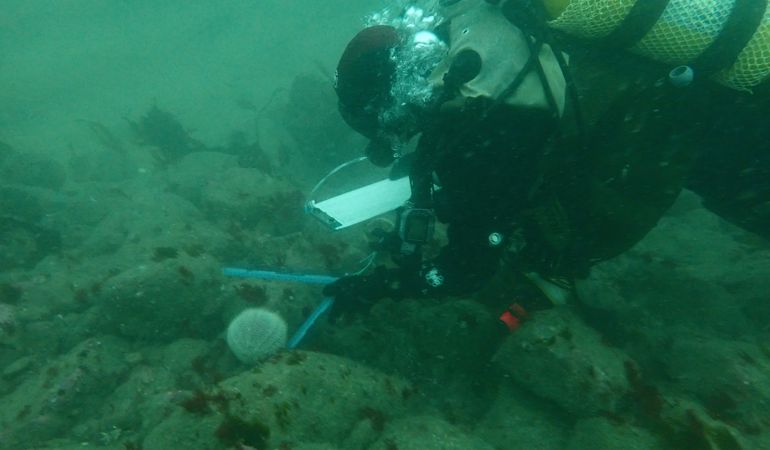 Scuba diver with a sea Urchin at Skomer Scuba diver with a sea Urchin at Skomer