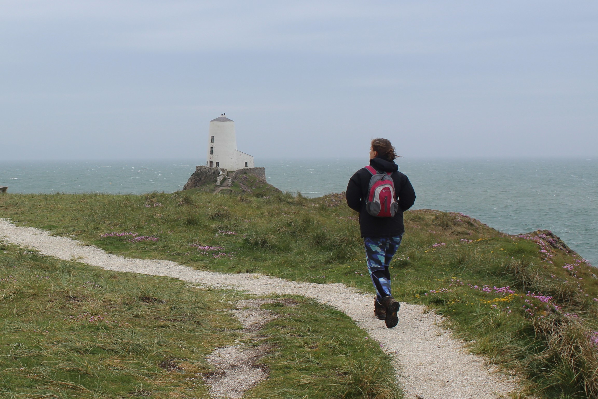 Walker on Ynys Llanddwyn