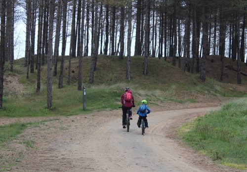 Man and child cycling in Newborough Forest