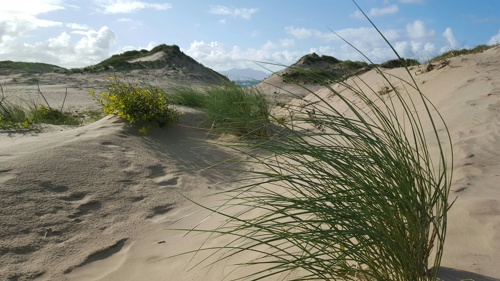 Dunes