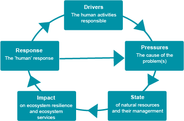 Our measures are set within the United Nations Driver-Pressure-State-Impact-Response framework. This helps us consider what drives environmental change, its impact and possible solutions.