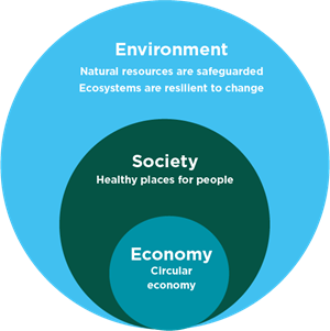 environment, society and economy