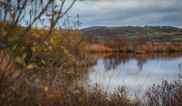 Cors Fochno bog Cors Fochno bog
